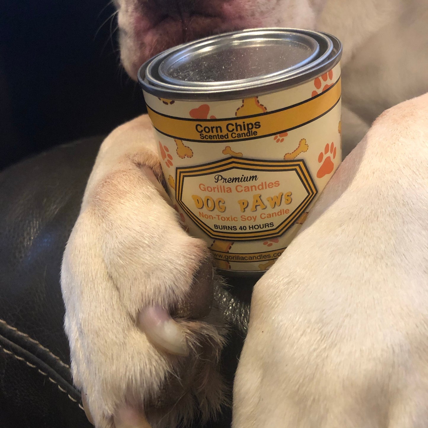 Love That Quirky 'Frito Feet' Smell?