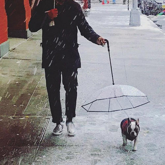 Pet Pawsome Clear Canopy - The Ultimate Pet Umbrella-0